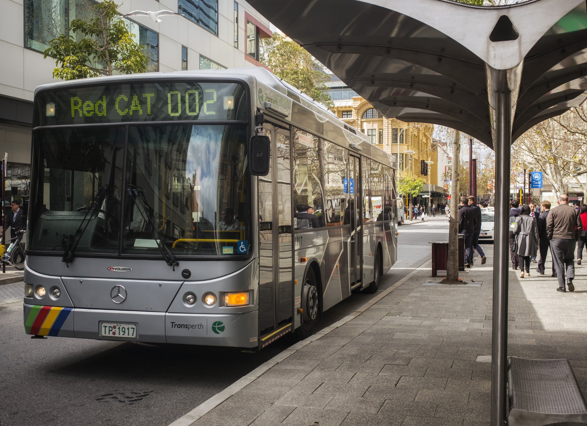 Image of a CAT bus